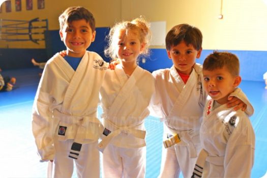 kids martial arts classes woodbridge va