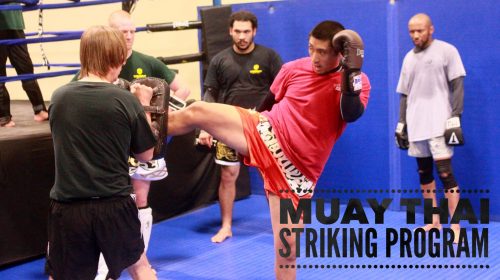 muay thai woodbridge va